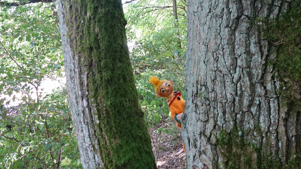 Eine Handpuppe schaut hinter einem Baum heraus.