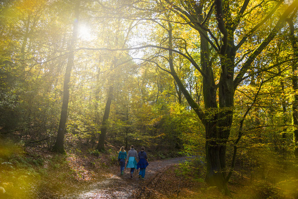 Wanderer im Herbstwald