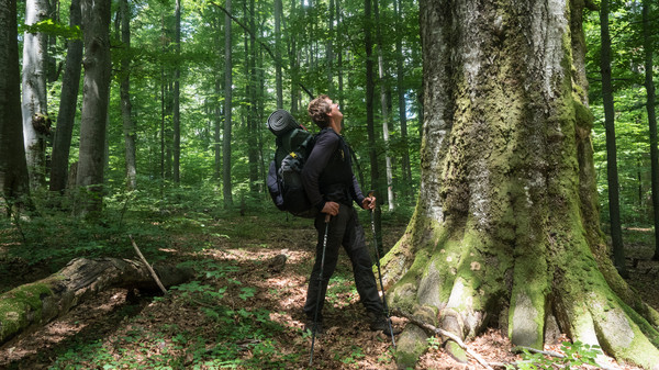 Gerald Klamer auf Karpaten Wanderung