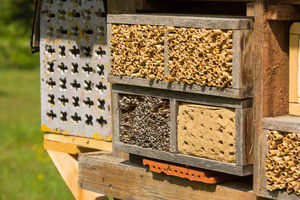 Insektenhotel am HdN