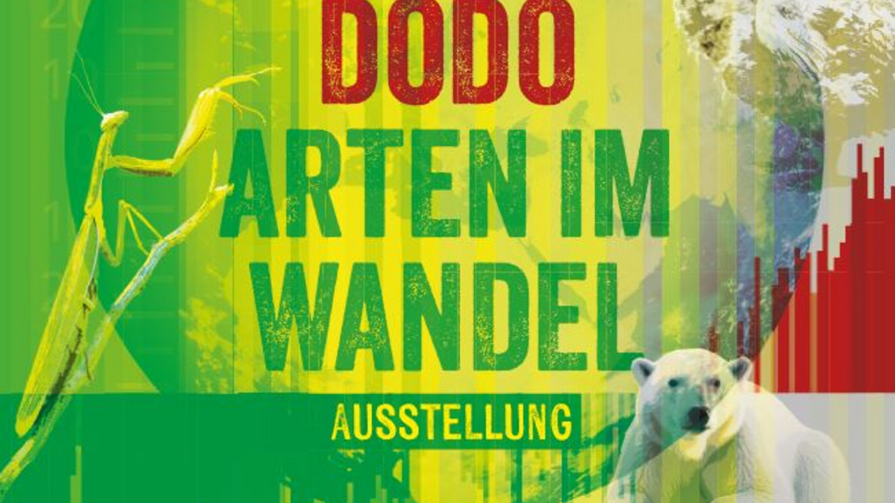 Das Plakat bildet einen Dodo, einen Eisbären, eine Gottesanbeterin und eine Schildkröte ab.