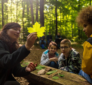 Eine Försterin zeigt Kindern im Wald ein Ahornblatt