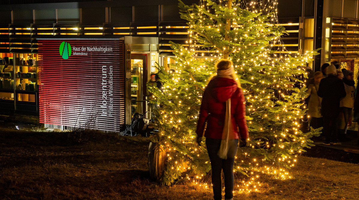 Eine Frau schaut sich den im Dunkeln erleuchteten Weihnachtsbaum am Eingang des Hauses an