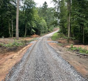 ein neuer Waldweg mit frischem Schotter längs fotografiert