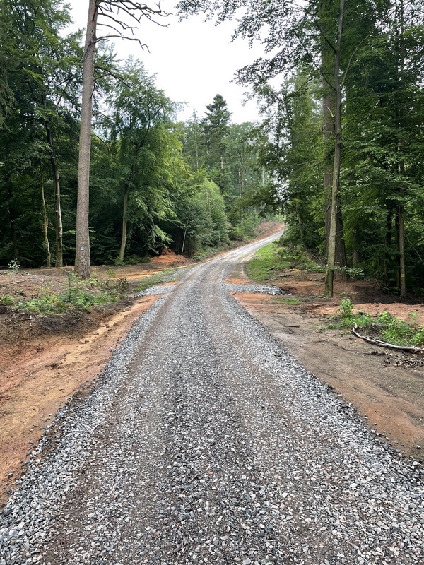ein neuer Waldweg mit frischem Schotter längs fotografiert