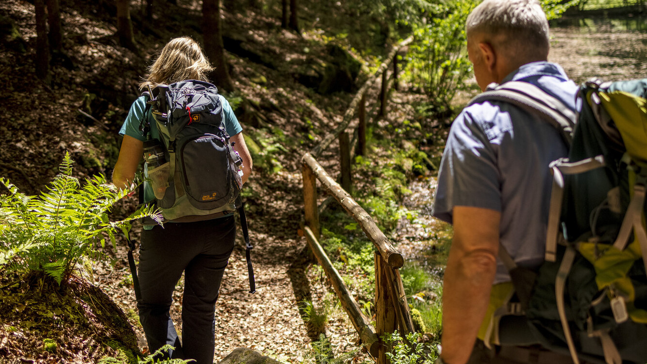 Wandernde gehen durch den Wald, auf einem schmalen Pfad mit Holzgeländer