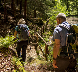 Wandernde gehen durch den Wald, auf einem schmalen Pfad mit Holzgeländer