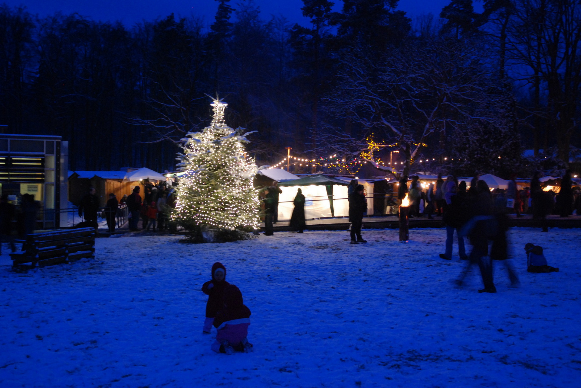 Der Weihnachtsmarkt im Dunkeln, nur ein beleuchteter Tannenbaum erhellt den Platz