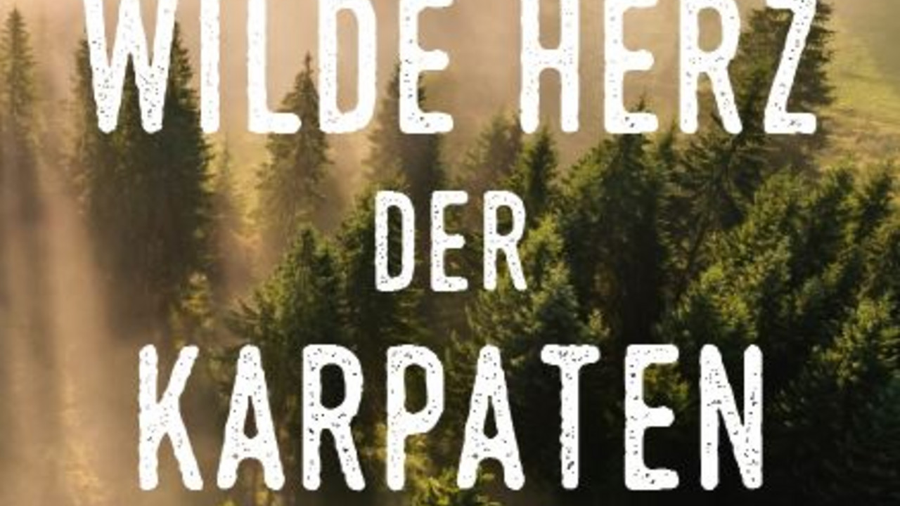 Zu sehen ist das Cover des Buches "Durchs wilde Herz der Karpaten", ein nebelverhangener Nadelwald in mystischem Licht
