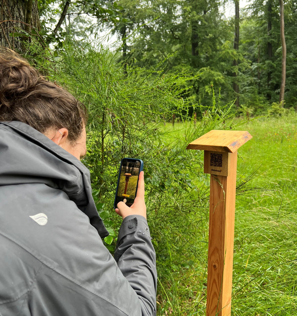 Frau scannt QR-Code auf Holz mit Handy ab
