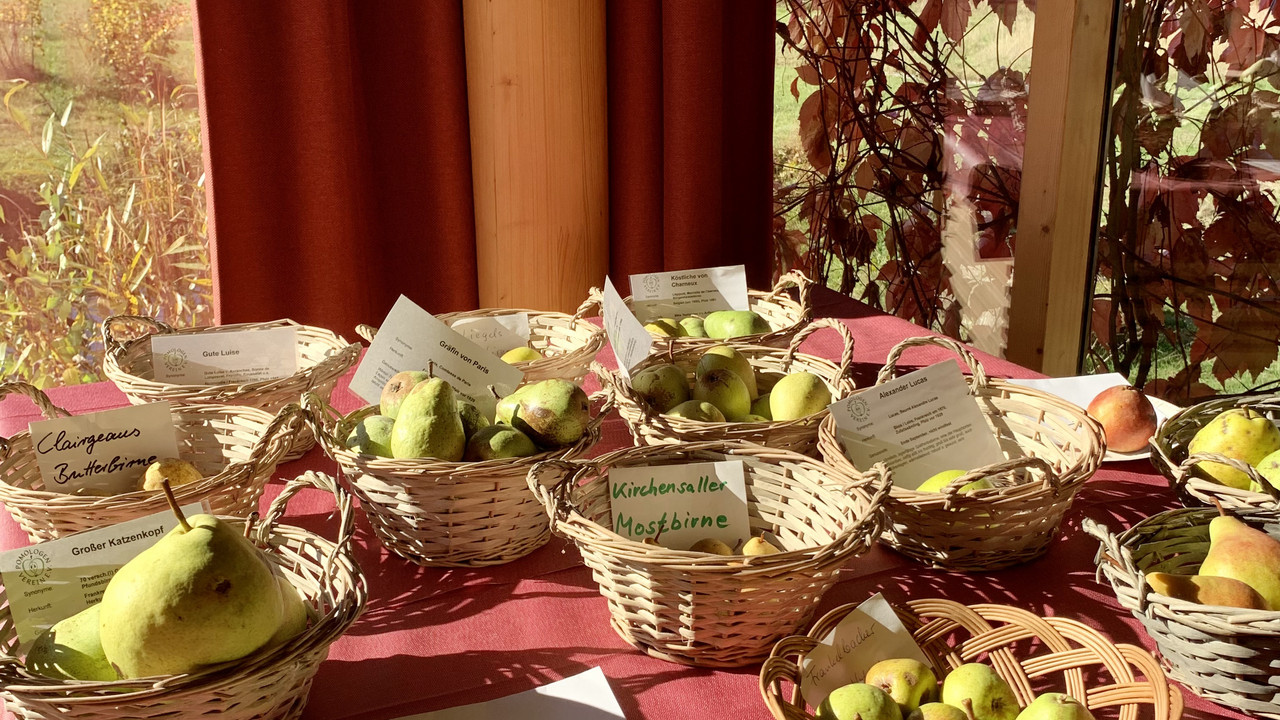 Äpfel in Körben auf Tisch vor Fenster angerichtet