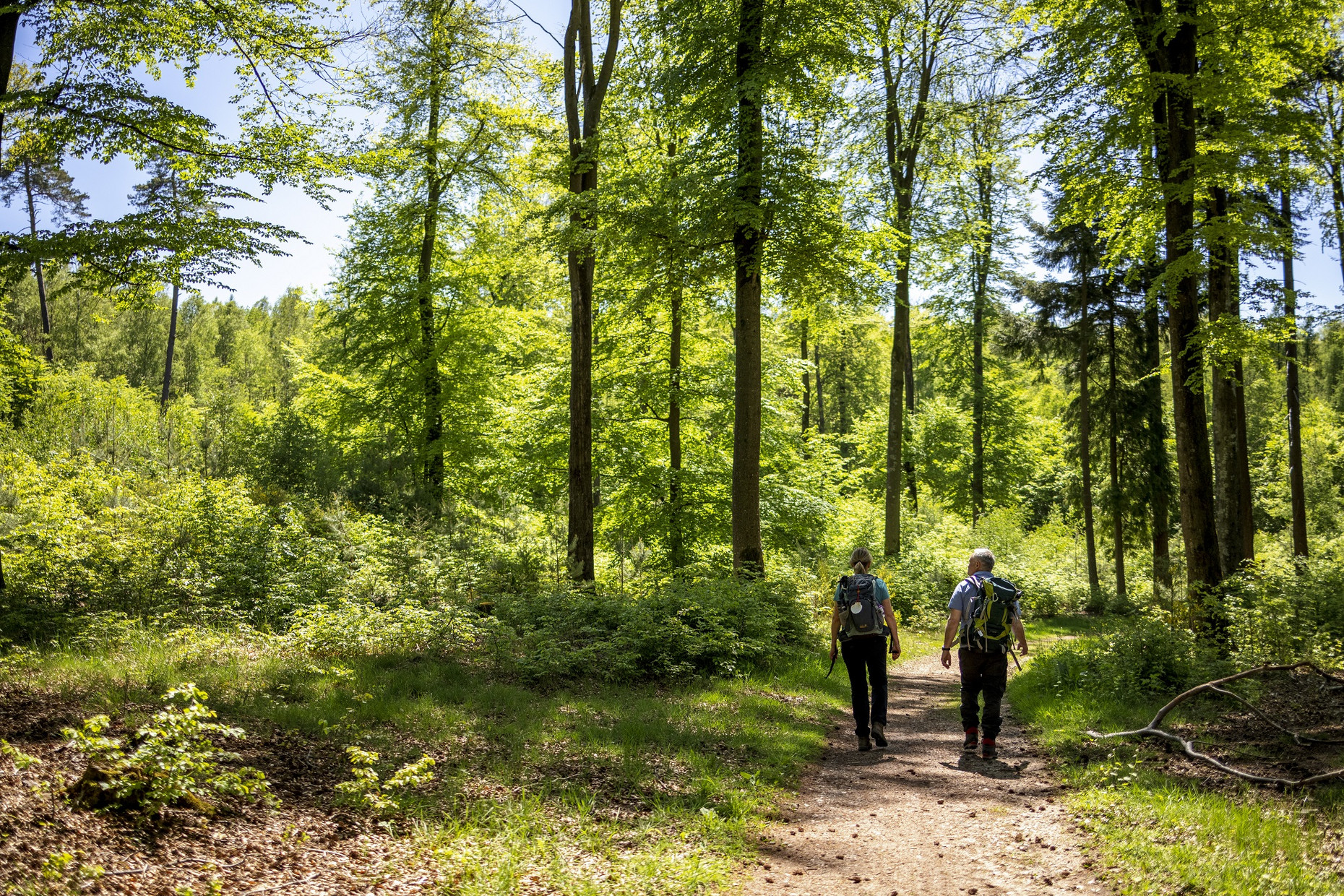 Der Wandermarathon führt durch eine malerische Landschaft Ein Mann und eine Frau wandern auf einem Weg durch den Wald