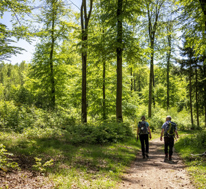Der Wandermarathon führt durch eine malerische Landschaft Ein Mann und eine Frau wandern auf einem Weg durch den Wald
