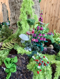 Ausstellung „Waldwunder“ erneut im Haus der Nachhaltigkeit