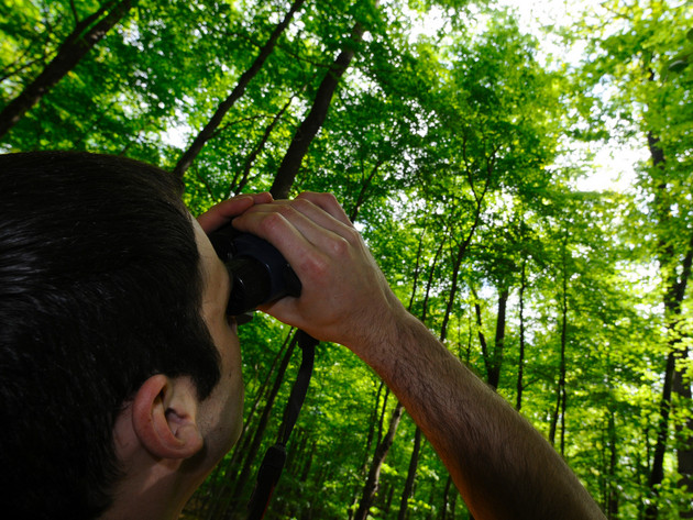 Forst im Dialog - Wie geht es unserem Wald?