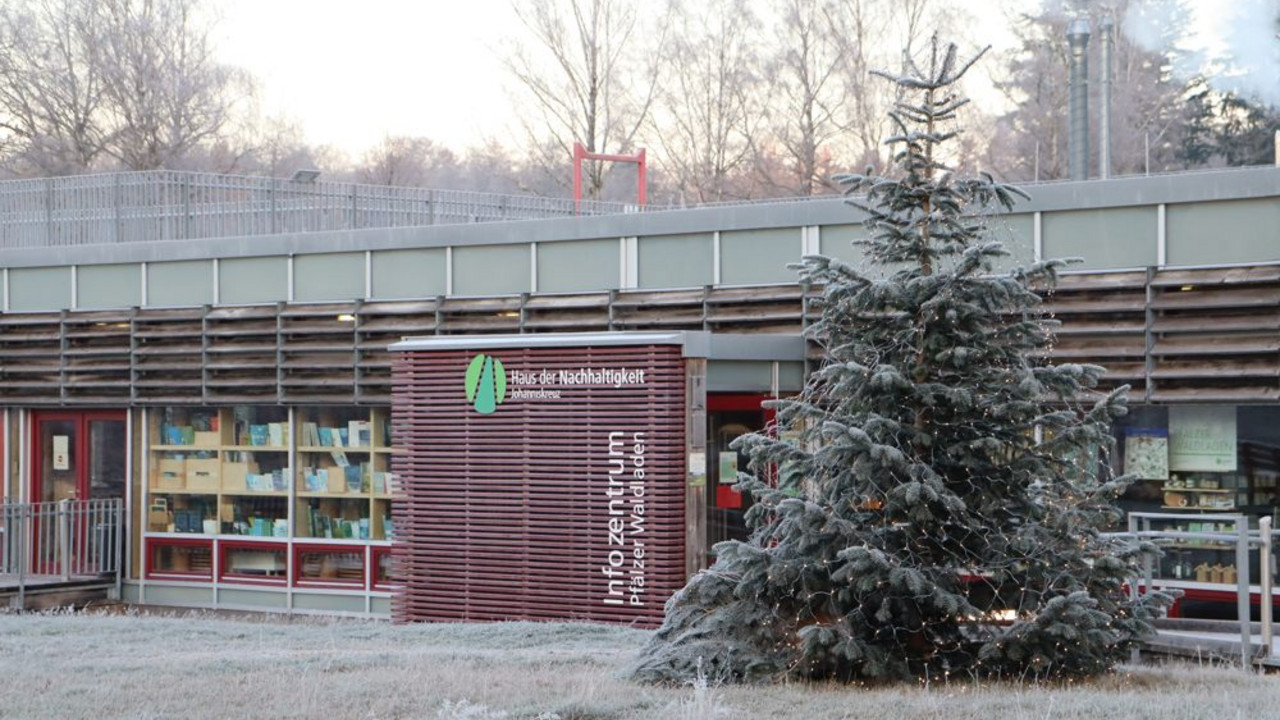 Weihnachtsbaum im Frost vor Haus der Nachhaltigkeit