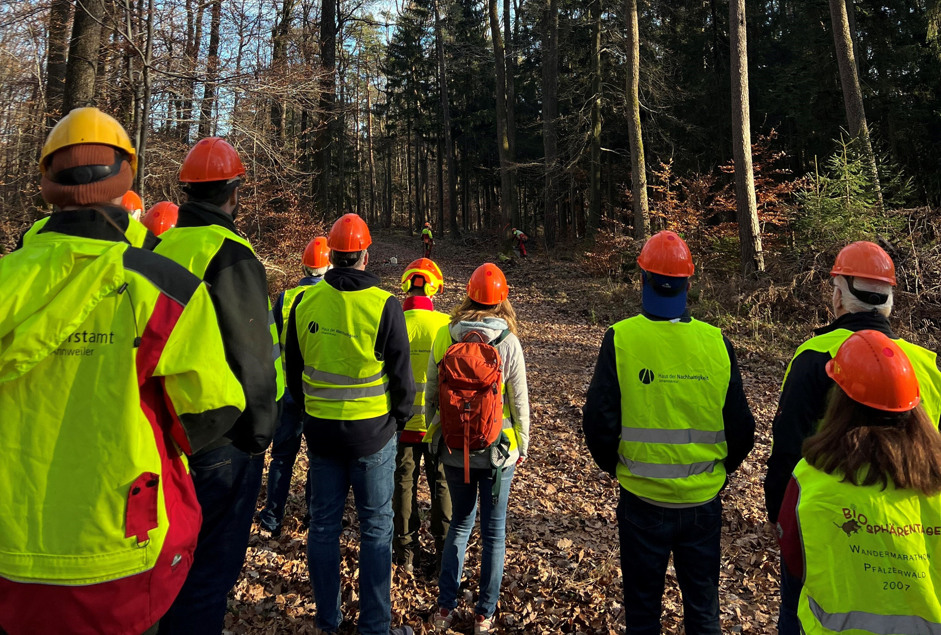 Das Bild zeigt eine Gruppe Menschen mit Warnwesten und Helmen im Wald.
