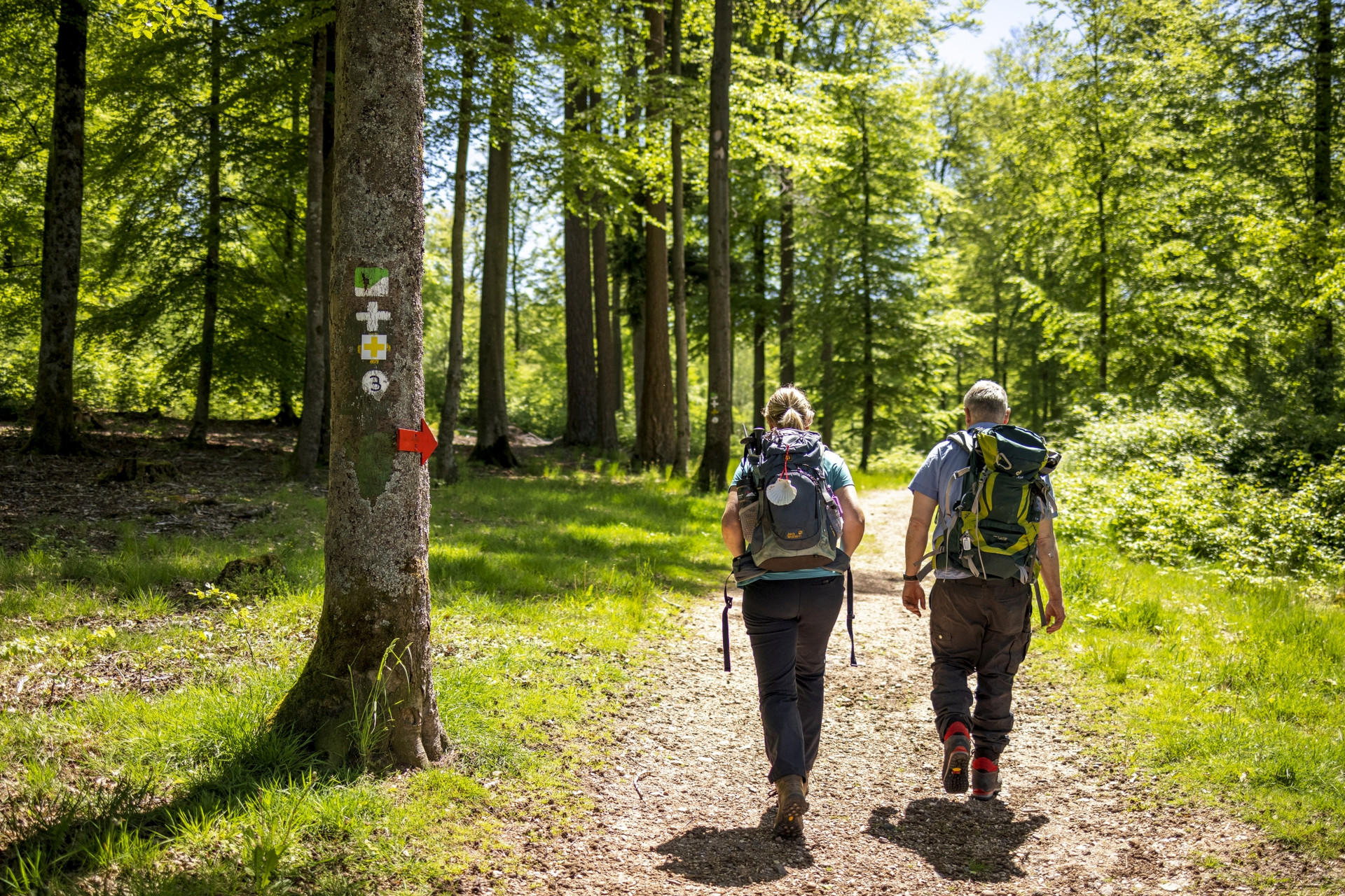 Wandern im Herz des Pfälzerwaldes