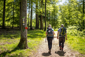 Wandern im Herzen des Pfälzerwaldes