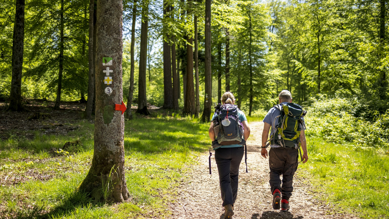 Wandern im Herz des Pfälzerwaldes