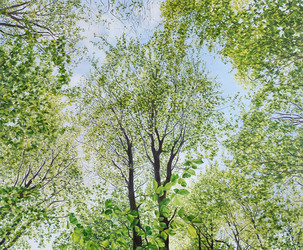 Fotorealistisches Ölgemälde mit Buchen-Baumkronen von unten