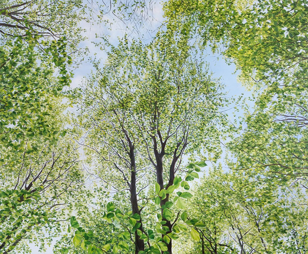 Fotorealistisches Ölgemälde mit Buchen-Baumkronen von unten