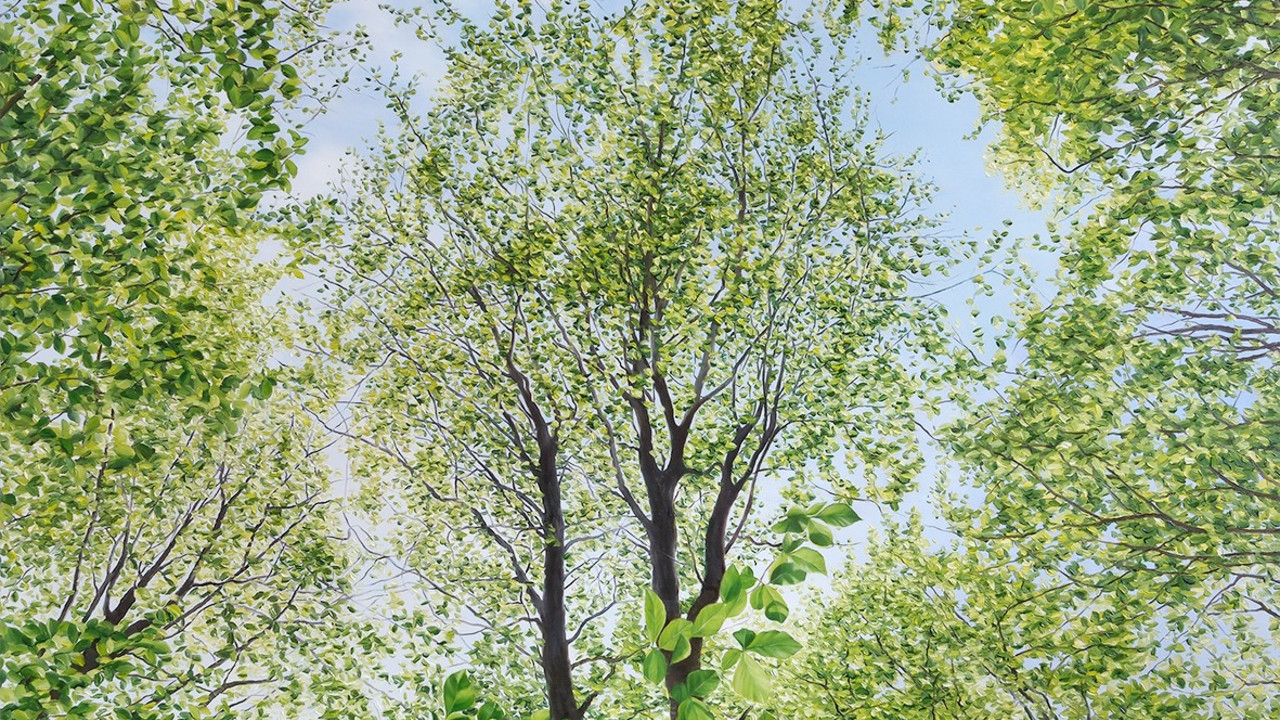 Fotorealistisches Ölgemälde mit Buchen-Baumkronen von unten