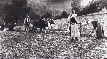 Eine schwarz-weiß Fotografie von Männern und Frauen die im 19. Jh. den Wald bewirtschaften