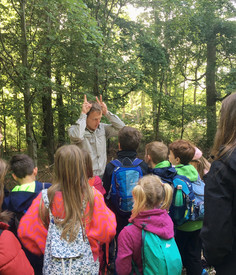 Kinder erobern Wald mit allen Sinnen