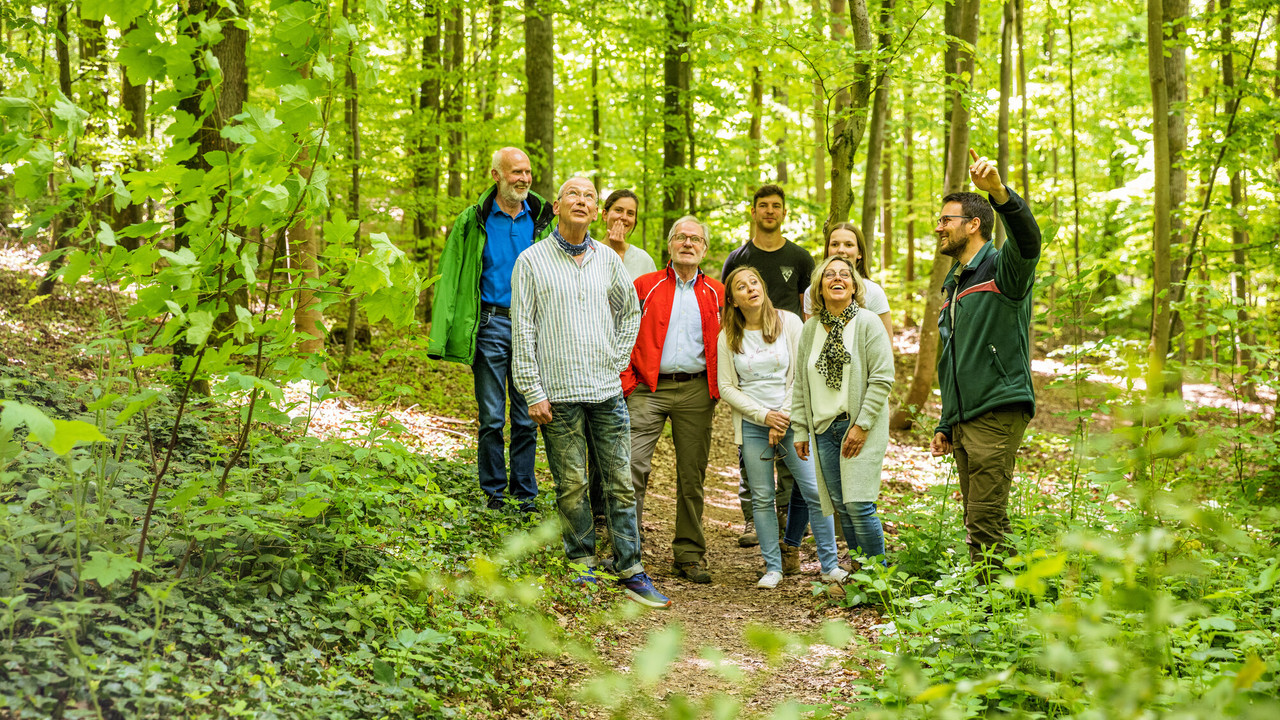 Förster erklärt Teilnehmern etwas im Baum