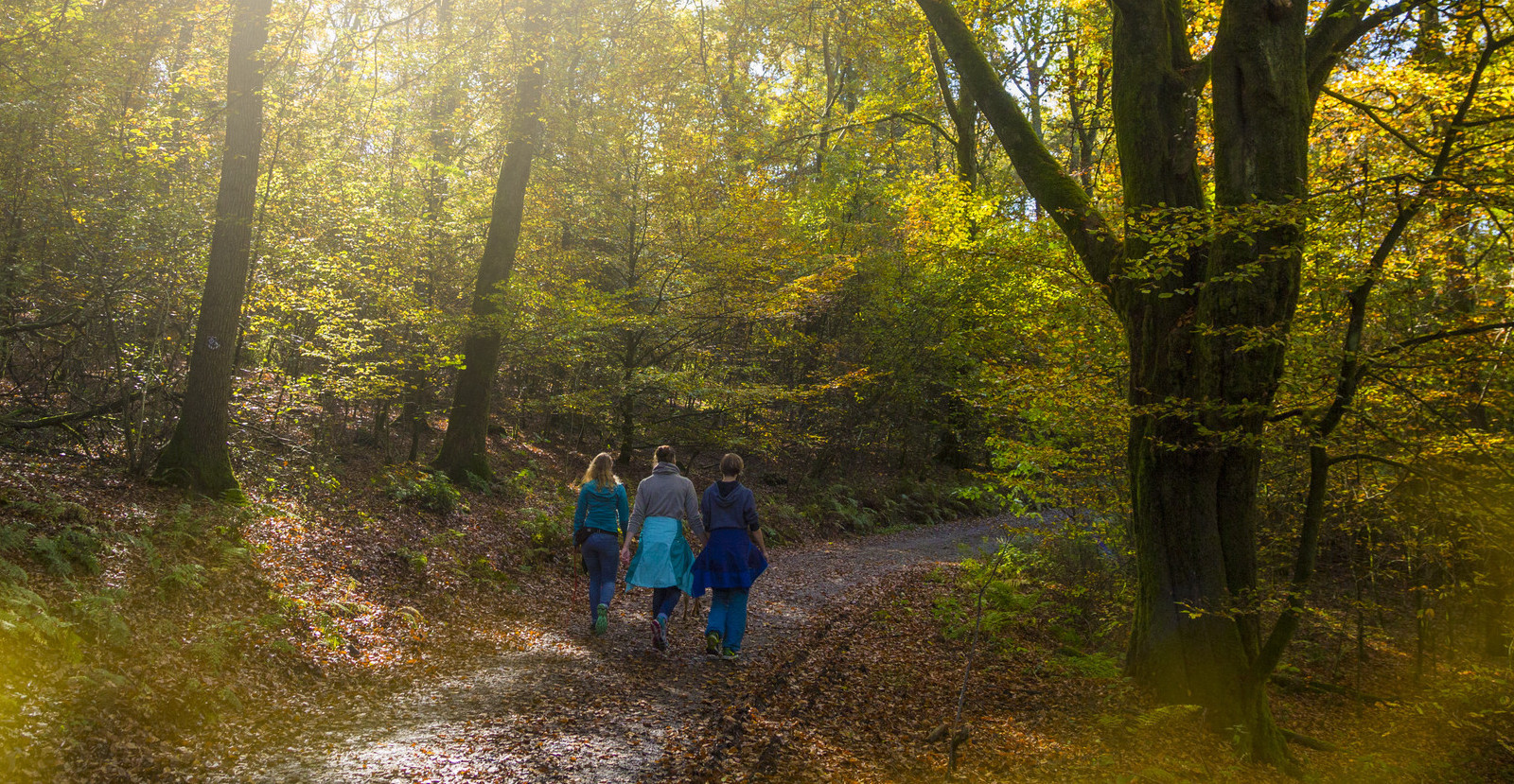Spaziergänger im Herbstwald, die Sonne scheint durch die Bäume