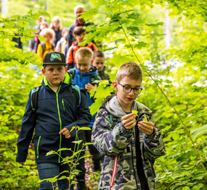Das Bild zeigt mehrere Kinder, die den Wald erkunden.