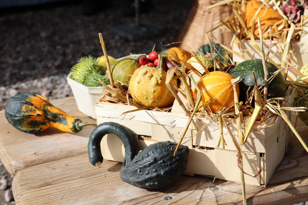kleine Kürbisse in einem Korb mit Stroh