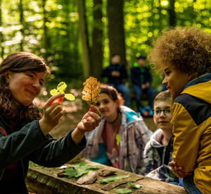 Eine Waldpädagogin erklärt Kindern, wie sie Baumarten anhand ihrer Blätter unterscheiden können.