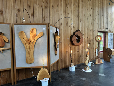 Ausstellung „Holz.Klang.Licht“ vom 28.8. bis 19.11. im Haus der Nachhaltigkeit