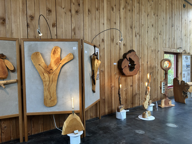 Ausstellung „Holz.Klang.Licht“ vom 28.8. bis 19.11. im Haus der Nachhaltigkeit