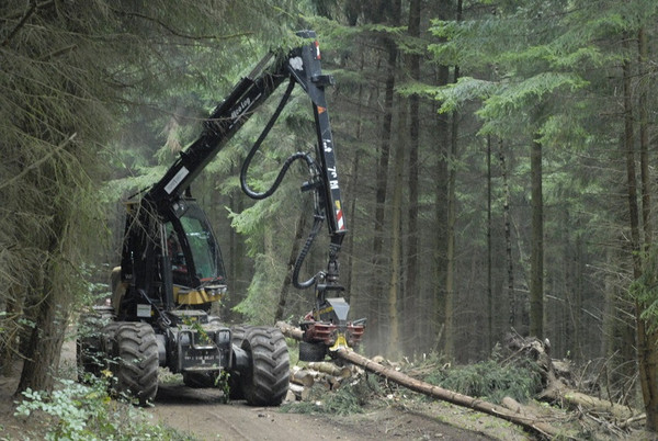 Das Bild zeigt eine große Vollernter-Maschine auf einem Waldweg im Einsatz