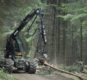 Das Bild zeigt eine große Vollernter-Maschine auf einem Waldweg im Einsatz